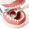 Dental Mouth Mirror Double‑Sided Autoclavable Front Surface SeeFDENT-3