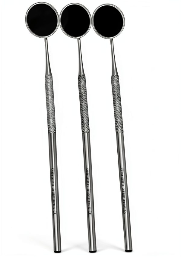 Dental Mouth Mirror WSI Premium 10-Pack Stainless Steel 22mm-1