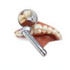 Dental Mirror HOKIN Stainless Steel with Two Detachable Heads-6