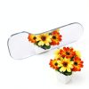 Dental Occlusal Mouth Mirror 5Pcs Set DBS Double‑Sided Rhodium-4